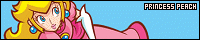 200x40 200x40
